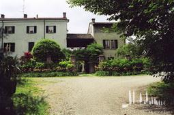 Galeriebild